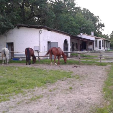 Ferme Equestre Des Abrons Villa Pailloles Eksteriør bilde